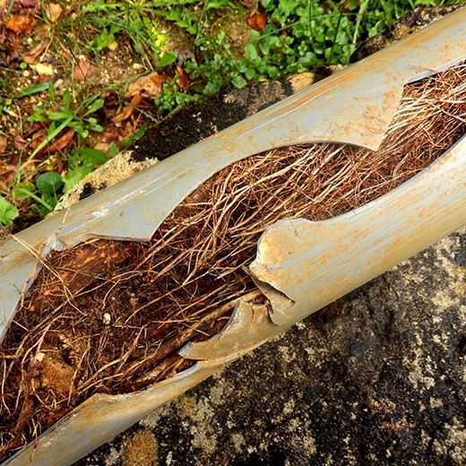 The Drain & Sewer Professionals In West Lakes